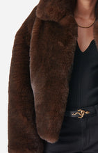 Load image into Gallery viewer, Daniel Coat in Brown