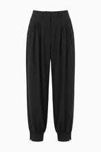Load image into Gallery viewer, Luella Pleated Wool Pant in Noir