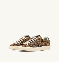 Load image into Gallery viewer, Windscape Low Top Trainers in Suede/ Leopard Printed Black