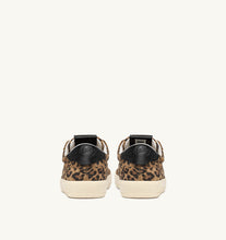 Load image into Gallery viewer, Windscape Low Top Trainers in Suede/ Leopard Printed Black