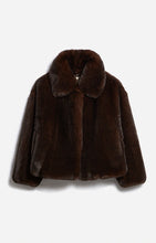 Load image into Gallery viewer, Daniel Coat in Brown
