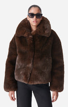 Load image into Gallery viewer, Daniel Coat in Brown
