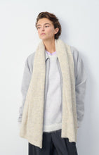 Load image into Gallery viewer, East Scarf in Powder Melange
