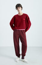 Load image into Gallery viewer, Izubird Sweater in Vintage Cherry

