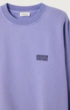 Load image into Gallery viewer, Plizzy Sweatshirt in Vintage Provence
