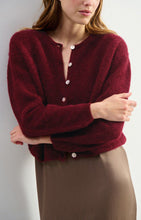 Load image into Gallery viewer, Vitow Cardigan in Cherry Tree Melange
