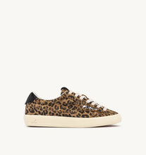 Load image into Gallery viewer, Windscape Low Top Trainers in Suede/ Leopard Printed Black
