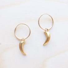 Load image into Gallery viewer, Claw Hoops Earrings in Gold
