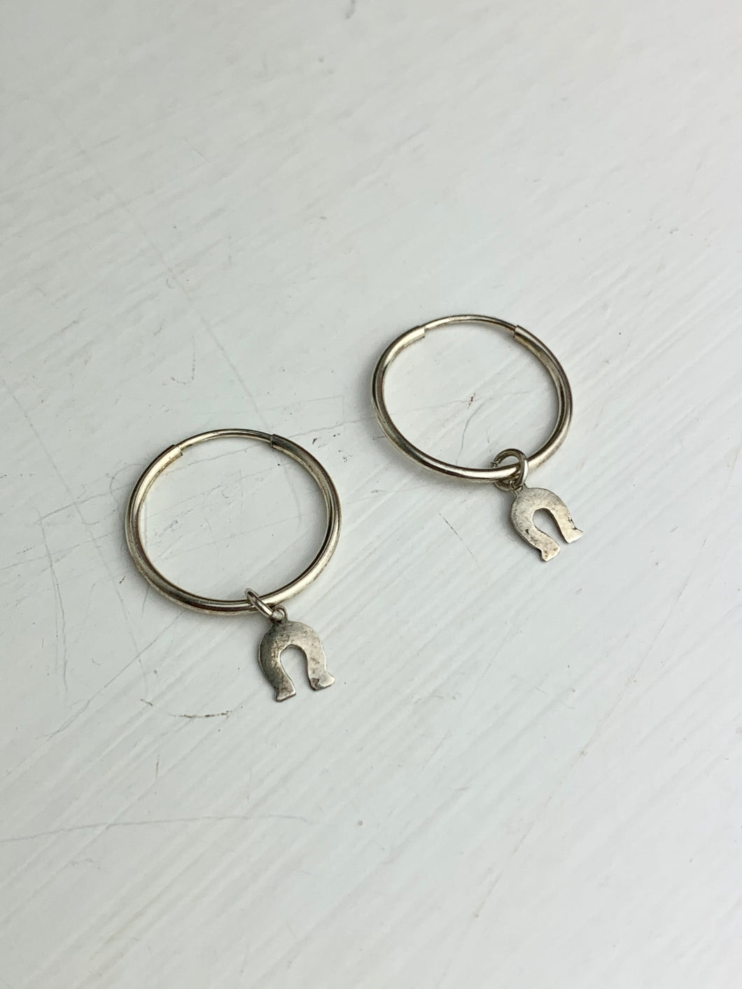 Horseshoe Hoops Earrings in Silver