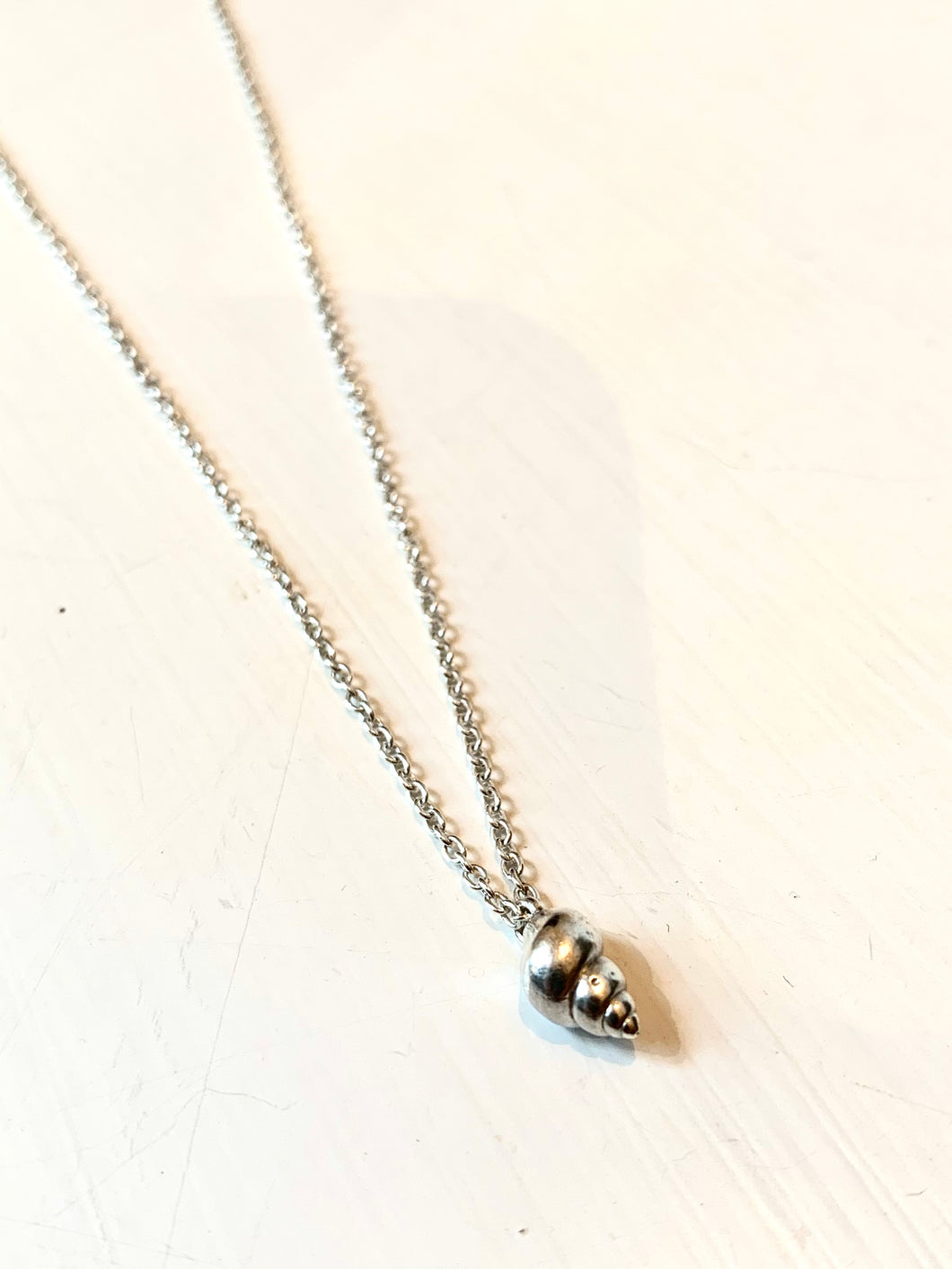 Shell Necklace in Silver